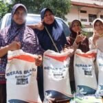 anggaran dan rincian kuota baru bantuan beras 10 kg pemerintah