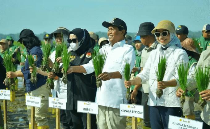 bupati hss kementan tanam padi bersama ketahanan pangan