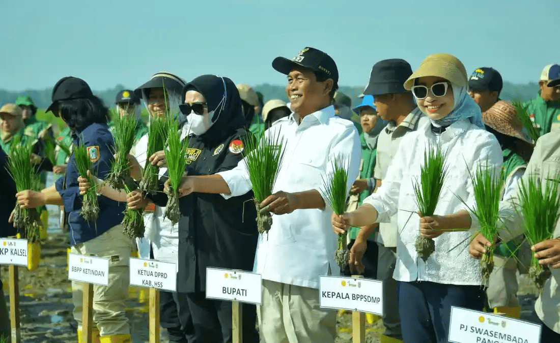 bupati hss kementan tanam padi bersama ketahanan pangan