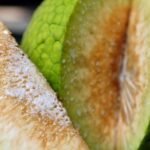 guru besar ipb sukun superfood local kaya manfaat
