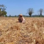 kekeringan ntb 206 ribu jiwa di 134 desa terdampak