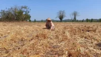 kekeringan ntb 206 ribu jiwa di 134 desa terdampak