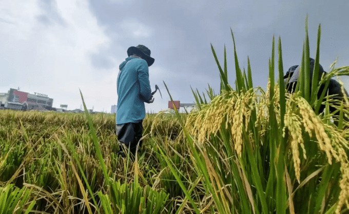 pemkab bandung wajibkan pengembang sediakan sawah pengganti