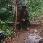 penyadap karet pangandaran ketakutan alat dirampas pohon dirusak