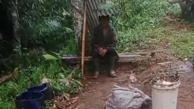 penyadap karet pangandaran ketakutan alat dirampas pohon dirusak
