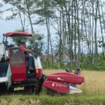 petani blora beli bbm subsidi ini cara urus rekomendasi dp4