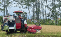 petani blora beli bbm subsidi ini cara urus rekomendasi dp4