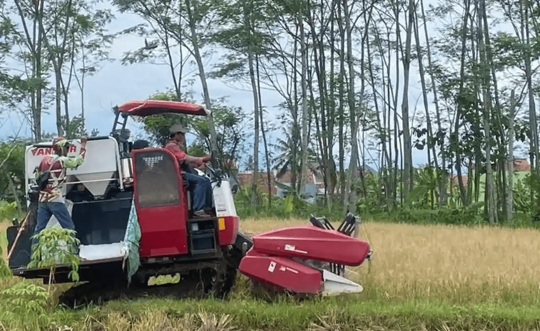 petani blora beli bbm subsidi ini cara urus rekomendasi dp4