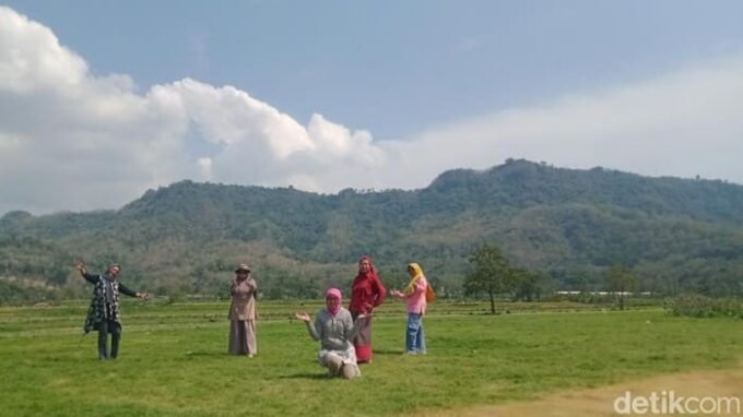 viral sawah bergaya sabana di prambanan petani protes