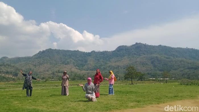 viral sawah bergaya sabana di prambanan petani protes