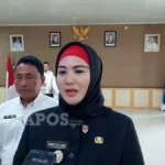 bangka selatan pertanian organik