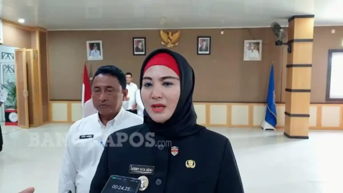 bangka selatan pertanian organik