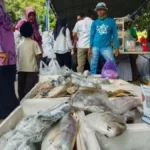 harta karun laut cirebon